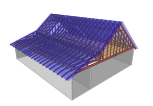 Rafter image.png