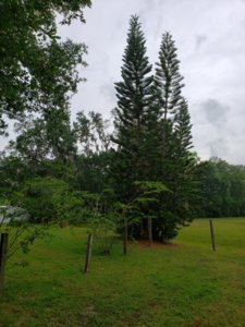 20190426_104324.jpg 20190426_104324.jpg