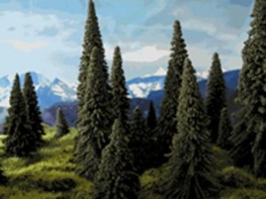 pine_trees_tm.jpg pine_trees_tm.jpg