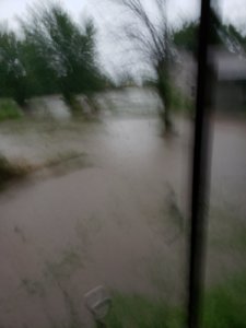 20190601_175951.jpg