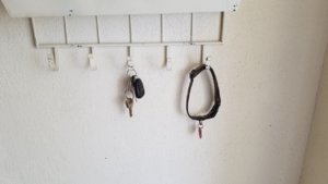 thumbnail_20190807_105215.jpg