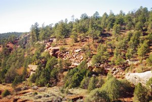 Rocks Raton Pass (2).jpg
