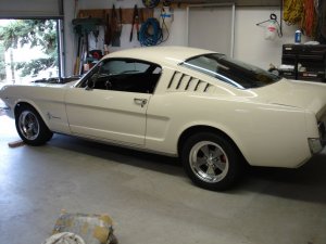 mustang83.jpg