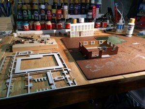 RanchHouseBuild1.jpg