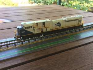 IMG_4925.JPG