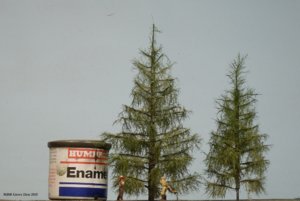 NspoorSparren6 cm.jpg