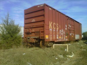 IMG00139-20101203-0951.jpg