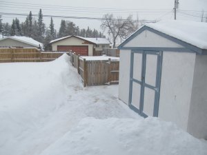 IMG_8450.JPG