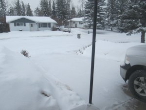 IMG_8451.JPG