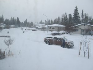 IMG_8452.JPG