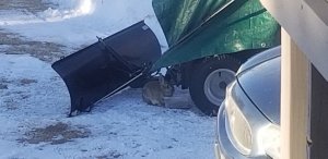 thumbnail_20190312_090523.jpg