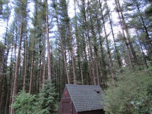 IMG_0212 (2).JPG