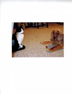 Bessy & Noel.jpg Bessy & Noel.jpg