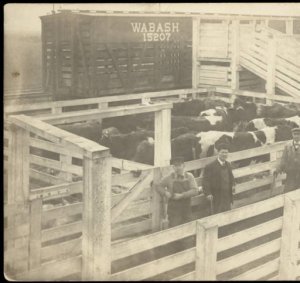 Stockyard 1910.jpg