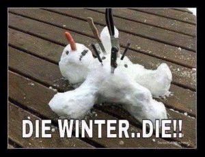 Die winter.jpg