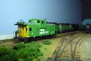 bn11.jpg
