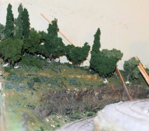 IMG_1382.JPG