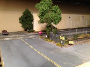 IMG_6931.jpg
