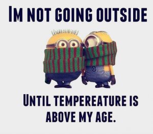 cold minion.jpg
