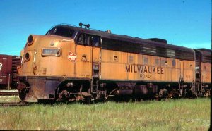 MILWScan19.jpg