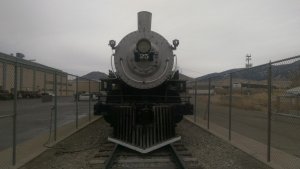 IMAG0313.jpg