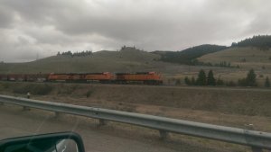 IMAG0367.jpg
