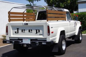 BACK-SHOT-small.jpg