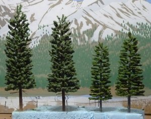 Conifers01 and 02.jpg