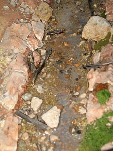 IMG_0669.JPG