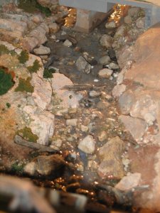 IMG_0673.JPG