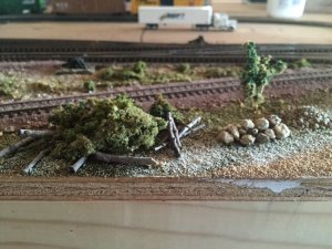 IMG_3302.JPG