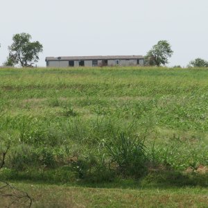 IMG_0460.JPG