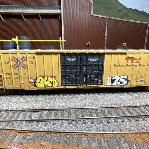 IMG_6673.jpeg