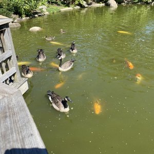 IMG_5719.jpeg