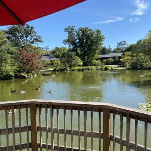 IMG_5717.jpeg