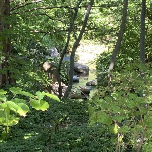 IMG_5716.jpeg
