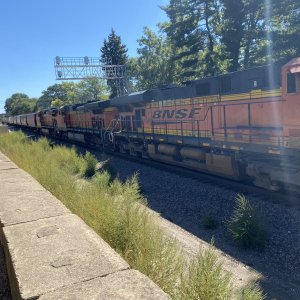 IMG_5636.jpeg