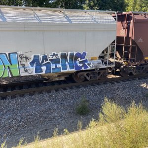 IMG_5644.jpeg