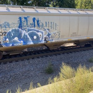 IMG_5648.jpeg