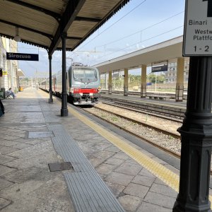 IMG_2600.jpeg