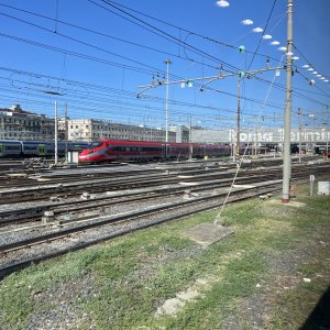 IMG_3763.jpeg