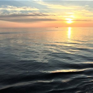 IMG_1506.JPG