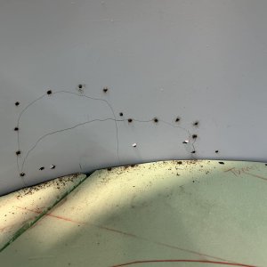459612890_8282285968505171_7868946395192554575_n.jpg