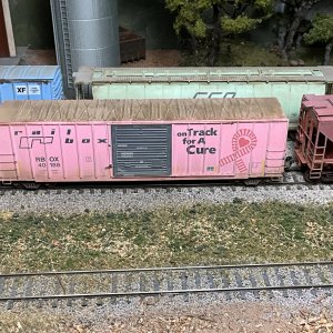IMG_5526.jpeg