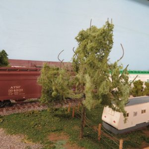 IMG_0002.JPG