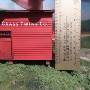 crex, height.jpg