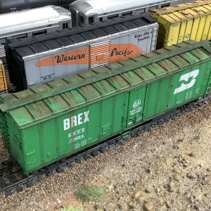 IMG_8497.jpeg