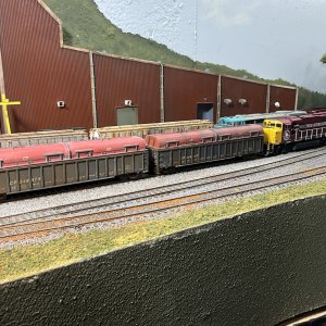 IMG_8556.jpeg