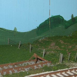 IMG_0003.JPG