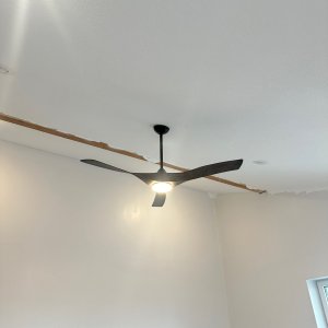 IMG_6392.jpeg